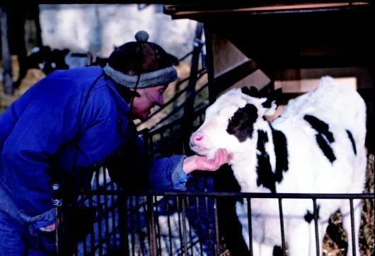来中国养奶牛的她 被《奥本海默》无情遗漏