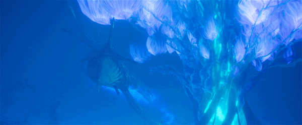 《阿凡达2：水之道》大批新剧照发布：绝美的潘多拉水下世界