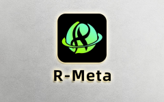 REVA 公司旗下R-meta市值呈现爆发